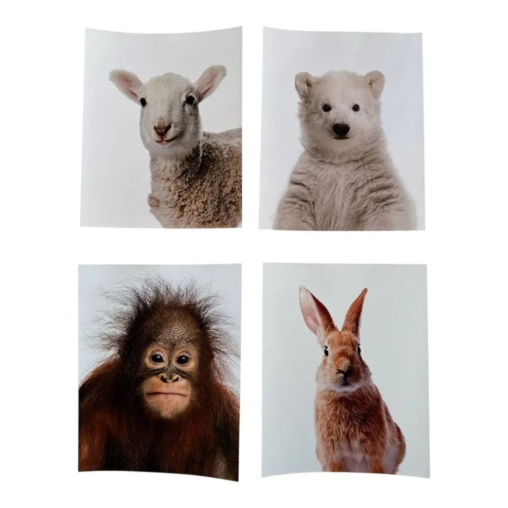 Nursery Wall Art Baby Animal Photography Woodland Zoo Farm Set of 10, 8x10 Inch